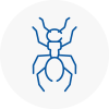 Ant Removals In Southport