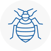 Bed Bug Extermination In Southport
