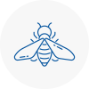 Bee Nest Removal Southport