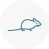 Mice Exterminators In Southport