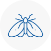 Moth Control Specialists In Southport
