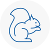 Southport Rodent Removals